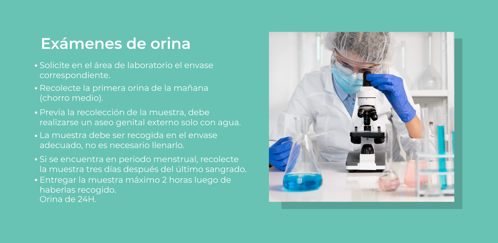 Laboratorio-Cinco
