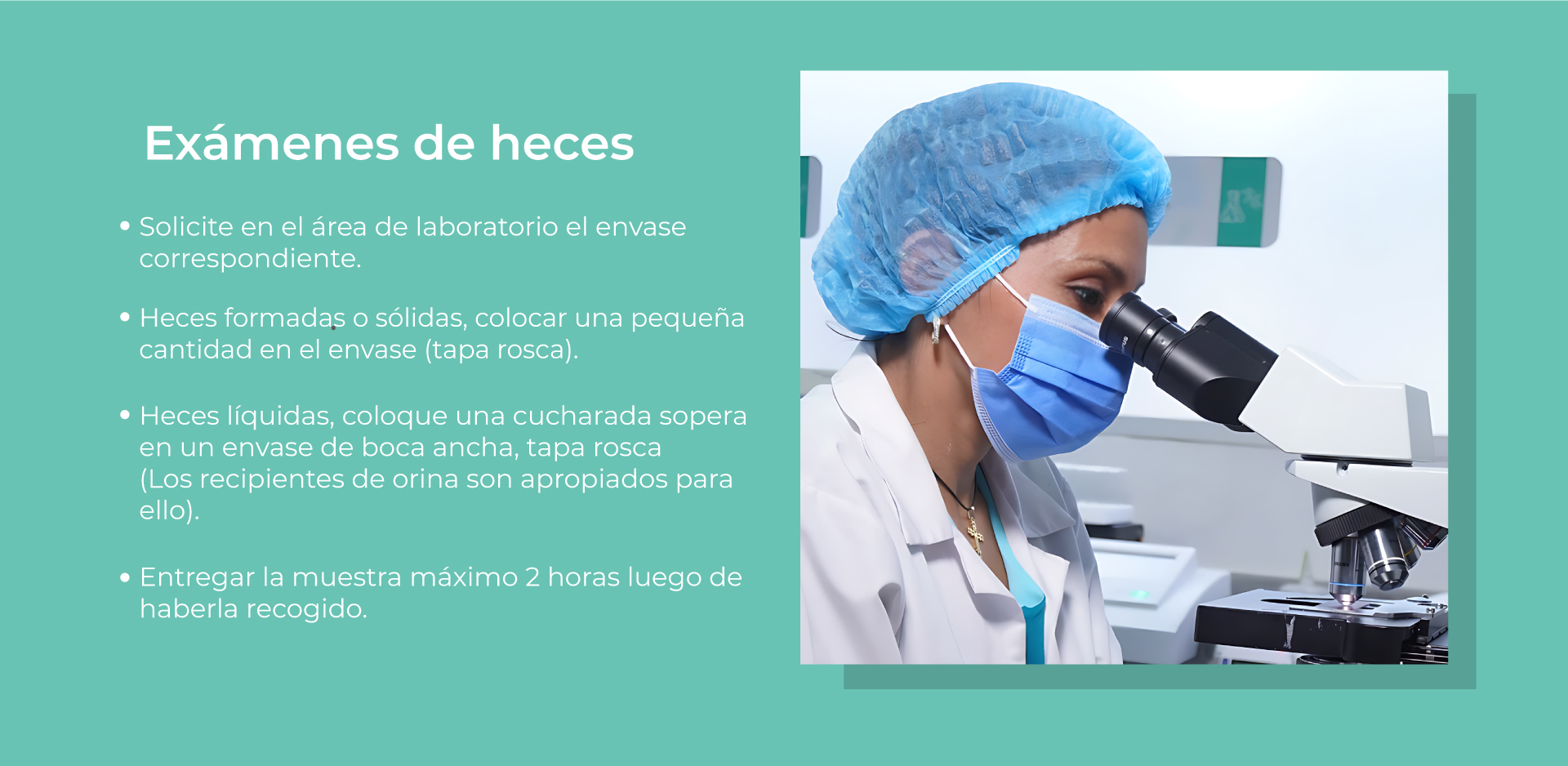 Laboratorio-Seis