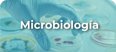 Laboratorio Clínico